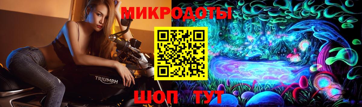 Псилоцибиновые грибы Psilocybe Лабытнанги